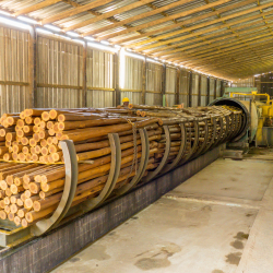 Wooden Transmission Poles