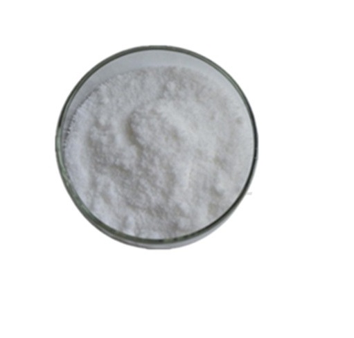 Xylitol Sweetener