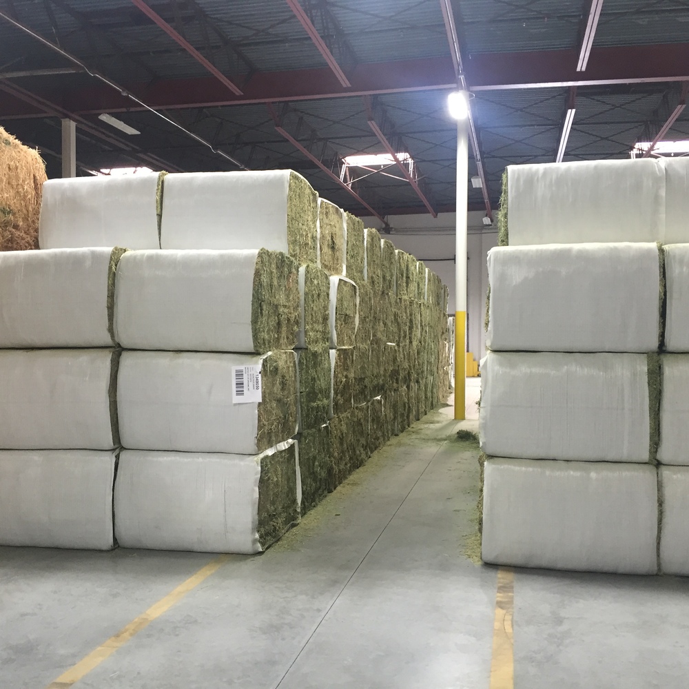 Alfalfa Hay Pellets And Bales