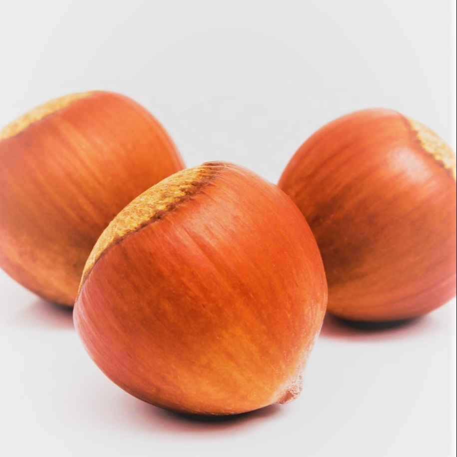 Raw Organic Grade Hazelnut