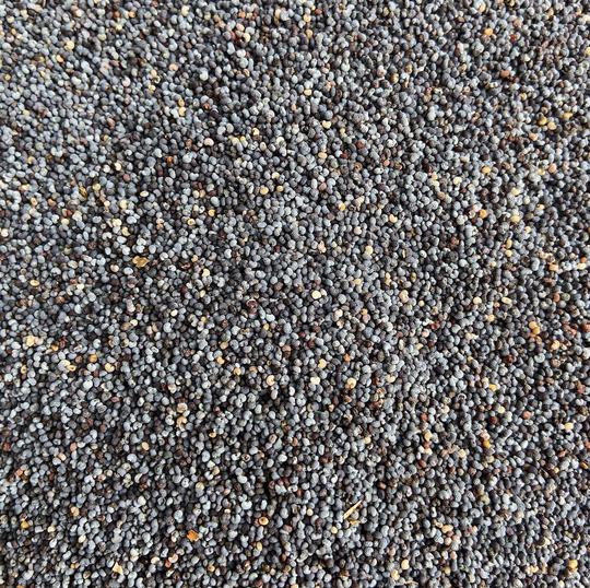 Poppy Seeds