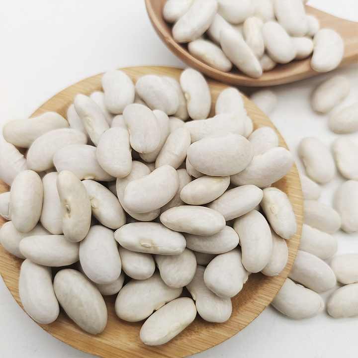 Alubia Beans