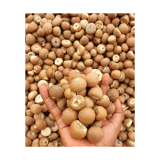Dried Whole And Split Betel Nut