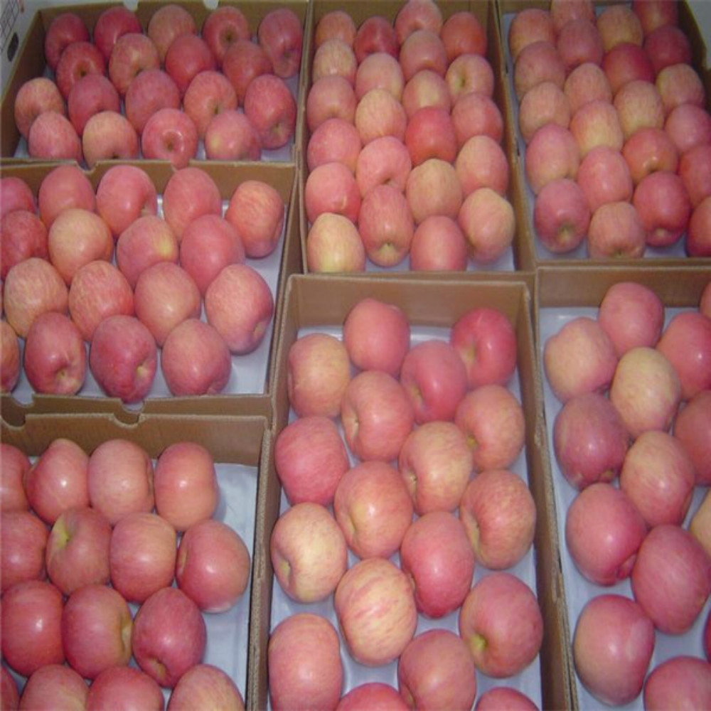 Fresh Fuji Apple