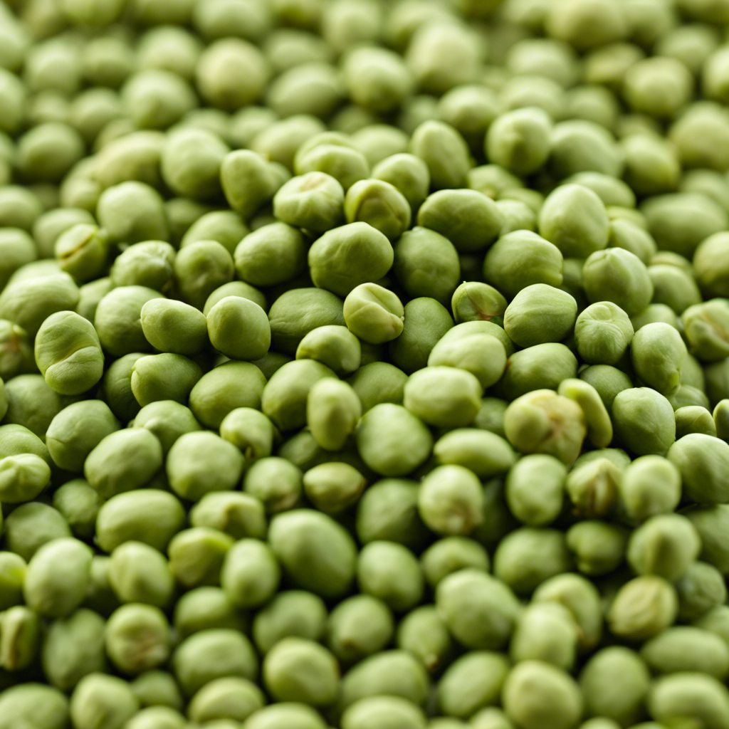 Green Lentils