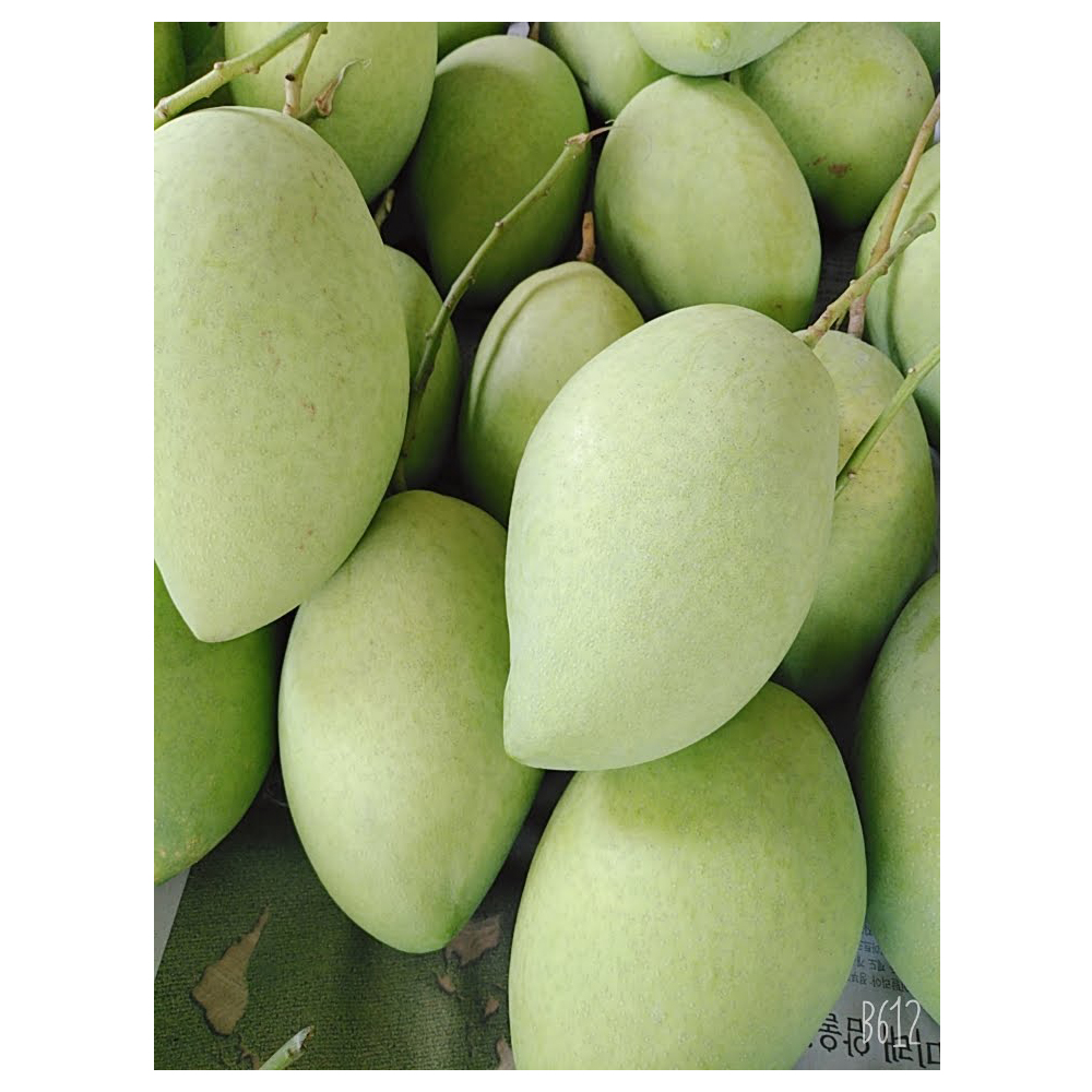 Fresh Green Mango