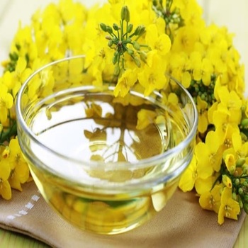 Certified Organic Refined Rapeseed Oil