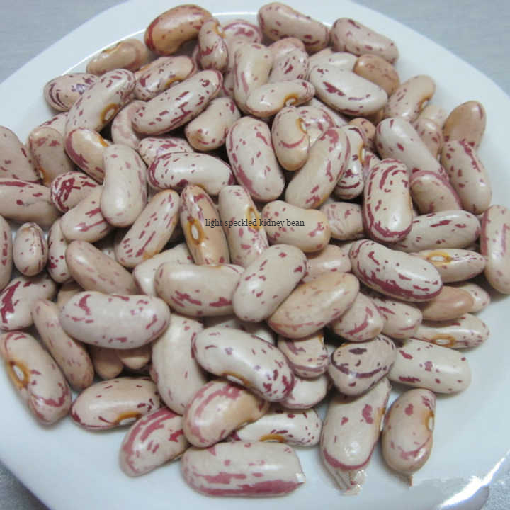 Light Speckled Kidney Bean