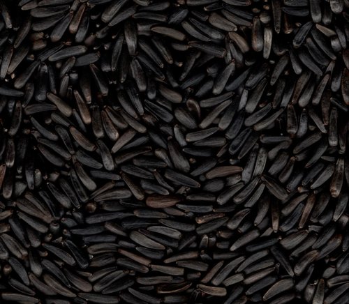 Niger Seed