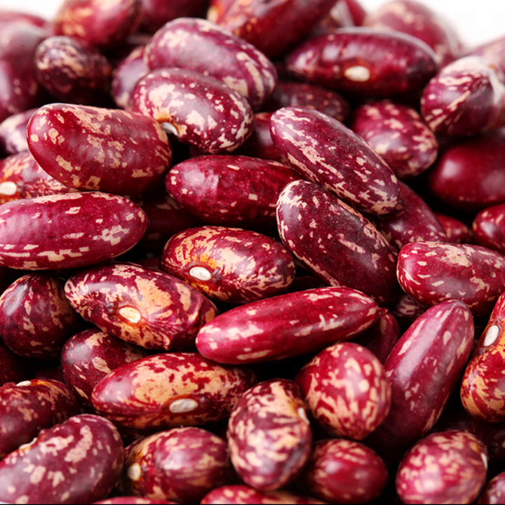 Dried Organic Pinto Red Speckled Kidney Beans