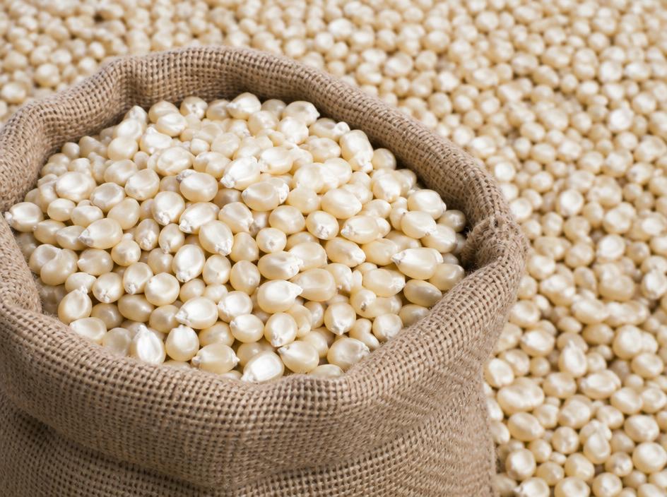 Grade 1 white maize in 50 kg bags loaded for bulk export from South Africa